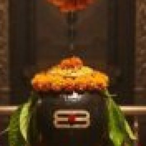 Profile photo of jitendra