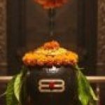 Profile photo of jitendra